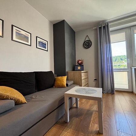 Apartament Wygodny Ustrzyki Dolne Esterno foto