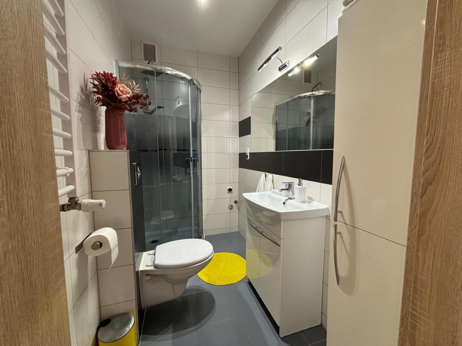 Apartament Wygodny Ustrzyki Dolne Esterno foto